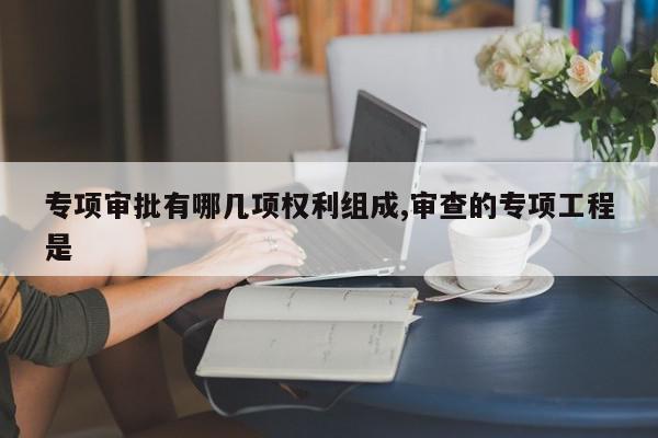 专项审批有哪几项权利组成,审查的专项工程是