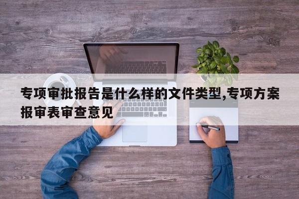专项审批报告是什么样的文件类型,专项方案报审表审查意见