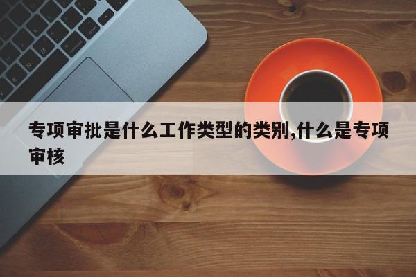 专项审批是什么工作类型的类别,什么是专项审核