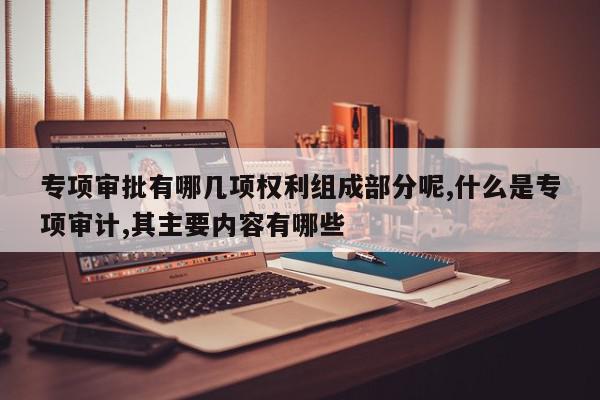 专项审批有哪几项权利组成部分呢,什么是专项审计,其主要内容有哪些