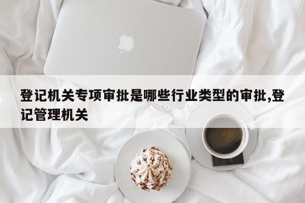 登记机关专项审批是哪些行业类型的审批,登记管理机关